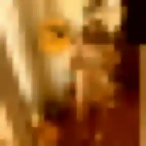 Contacte Isabelle, 23 ans à Hèches gratuitement