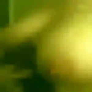 Sylvie, fille de 26 ans veut plan cul à Heiligenberg