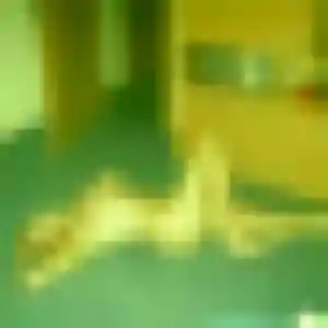 Photo privée de Salima, 33 ans à Heimsbrunn - plan discret