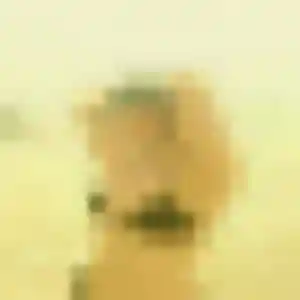 Contacte Gwenaelle, 22 ans à Hem en privé