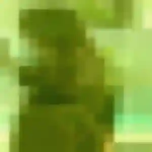 Photo de Pauline à Henvic (22 ans) - plan cul anonyme