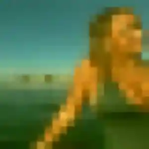 Photo de Gladys à Hindisheim (43 ans) - plan cul discret