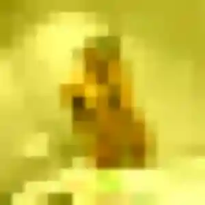 Photo perso de Sara, 23 ans à Hinges - rencontre coquine