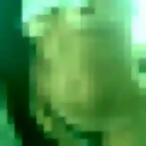 Profil de Jihane à Hommarting (31 ans) - plan cul gratuit