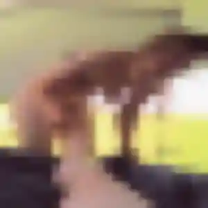 Eleonore, femme de 27 ans veut plan cul à Hondainville