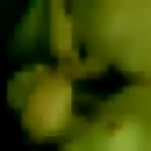 Profil de Thais à Huest (28 ans) - plan cul gratuit