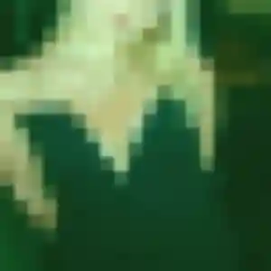 Profil de Daniela à Inchy (24 ans) - plan cul gratuit