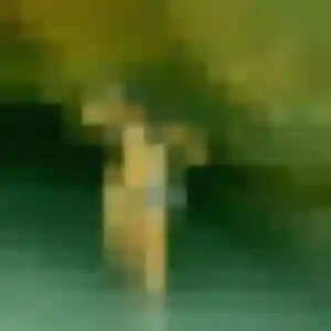 Charmante Rosalie, 34 ans à Isles-les-Meldeuses - voir sa photo