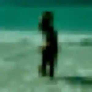 Photo sexy de Suzanne, 32 ans à Isneauville - rencontre coquine