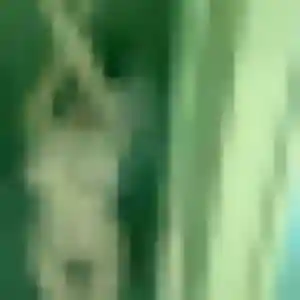 Photo sexy de Aisha, 43 ans à Jenlain - plan discret