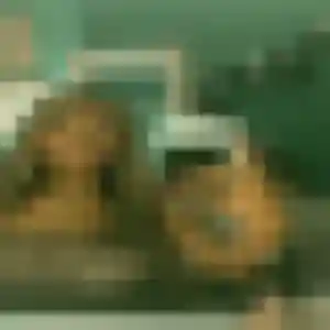 Sofia, 41 ans, en ligne à Jeuxey pour une rencontre coquine