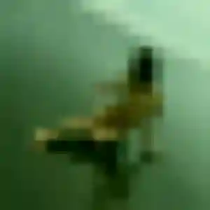 Sexy Whitney, 45 ans à Joinville - la contacter