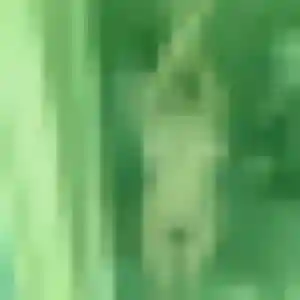 Flavie (42 ans) à Jouques attend une rencontre rapidement
