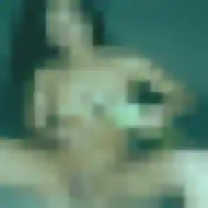 Rachida, 26 ans, cherche un plan cul à Juvisy-sur-Orge