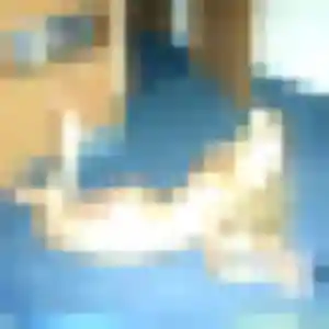Photo sexy de Manon, 38 ans à L'Hôpital - rencontre coquine