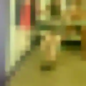 Marie-Laure de L'Huisserie, 22 ans - plan cul sans lendemain