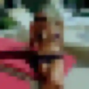Photo privée de Vanessa, 34 ans à La Bassée - rencontre sans lendemain