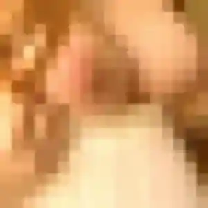 Photo exclusive de Sonia, 23 ans à La Capelle - rencontre coquine