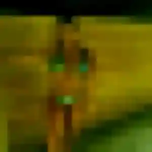 Photo sexy de Sarah, 45 ans à La Chapelle-Fleurigné - rencontre coquine