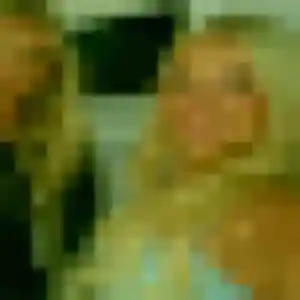 Photo perso de Raphaelle, 29 ans à La Chapelle-Saint-Mesmin - rencontre sans lendemain