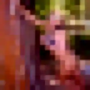 Photo de Garance à La Ferté-Alais (44 ans) - plan cul discret