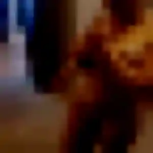 Anne (28 ans) à La Forêt-Fouesnant cherche une rencontre ce soir