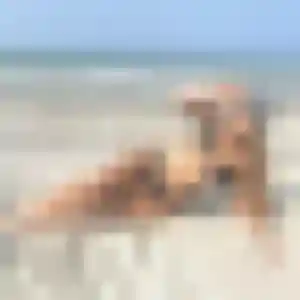 Christine (26 ans) à La Guierche cherche un plan cul ce soir