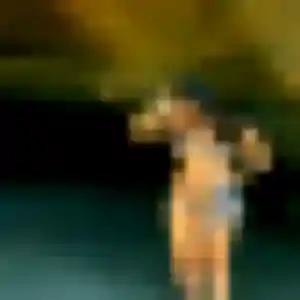 Photo de Amandine à La Lande-de-Fronsac (39 ans) - plan cul anonyme