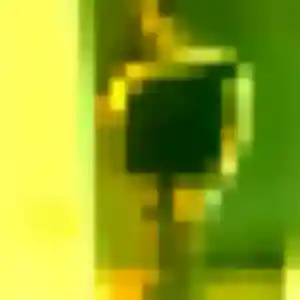 plan cul à La Môle : photo de Flore, 26 ans - accès libre