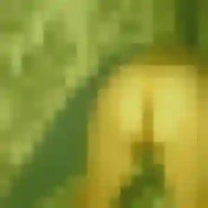 Photo de Aisha à La Penne-sur-Huveaune (30 ans) - plan cul anonyme