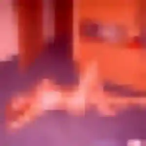 Photo de Ornella à La Petite-Raon (25 ans) - plan cul gratuit