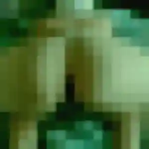 Photo de Monique à La Roche-Posay (24 ans) - plan cul anonyme