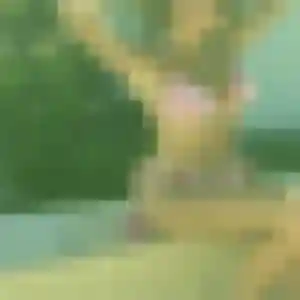 Jade, 35 ans, disponible à La Salvetat-Peyralès pour une rencontre coquine