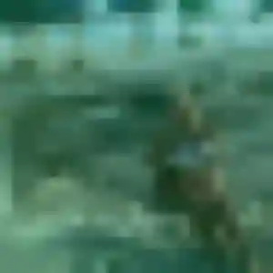 Karen, fille de 32 ans veut plan cul à La Tranche-sur-Mer