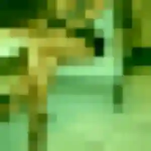 Photo de Celeste à Labégude (44 ans) - plan cul gratuit