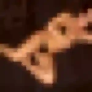Photo exclusive de Dounia, 23 ans à Labruyère - rencontre sans lendemain