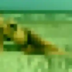 Yvette (36 ans) à Lagarrigue cherche un plan cul ce soir