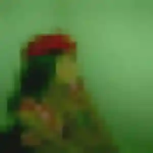 Profil de Ninon à Laigné-en-Belin (27 ans) - plan cul anonyme