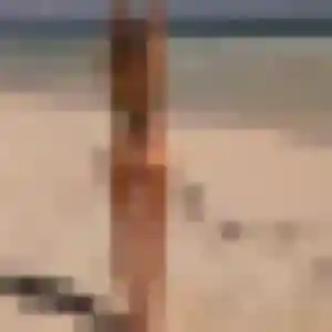 Charmante Clara, 42 ans à Lambersart - la contacter