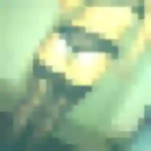 Photo de Lise à Lamotte-Beuvron (28 ans) - plan cul anonyme