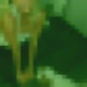 Sexy Edith, 30 ans à Lampaul-Plouarzel - voir sa photo