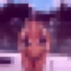 Aurelie, 34 ans, disponible à Lampaul-Ploudalmézeau pour une rencontre coquine