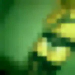 Photo sexy de Elvire, 35 ans à Landrecies - rencontre coquine