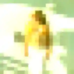 Photo sexy de Alessandra, 26 ans à Lanuéjouls - plan discret