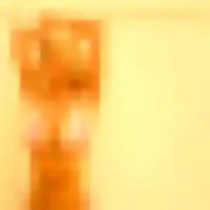 Photo sexy de Cyrielle, 40 ans à Laragne-Montéglin - rencontre sans lendemain