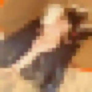 Pauline, 36 ans, dispo pour plan cul à Larnod