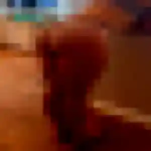 Photo exclusive de Fanny, 24 ans à Laugnac - rencontre coquine