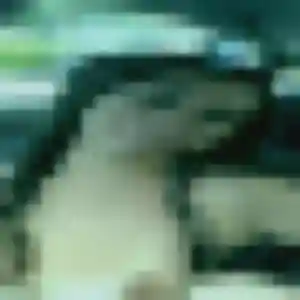 plan cul à Laugnac : photo de Janine, 39 ans - accès libre