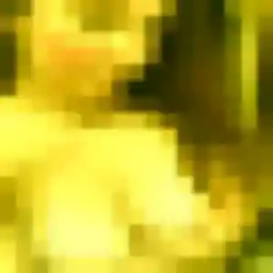 Photo perso de Olga, 39 ans à Laval-en-Belledonne - rencontre sans lendemain