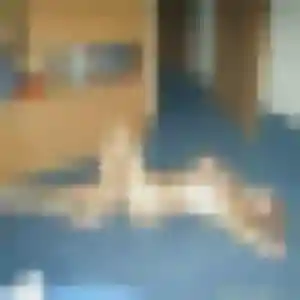 plan cul à Layrac : photo de Janine, 43 ans - sans engagement